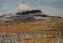 Local interest* Karen Wilson (local contemporary) an unusual modern cross stitch embroidery 'Pen-y-