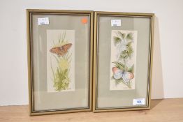 A pair of Cash's woven silk pictures depicting butterflies a Queen of Spain and an Orange Tip both
