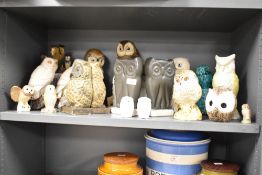 A quantity of pottery owl figurines, to include an Aynsley owl and a pair of Coalport owls ect