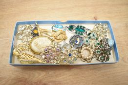 A collection of costume brooches, including paste set pieces, a cameo and statement brooches