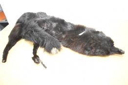 An early 20th century black fox fur stole, L90cm
