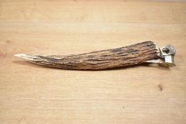 A horn cigar cutter, L28cm