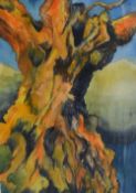 Diana Craven (Local Contemporary) Watercolour 'Gnarled Tree, Levens', attractive study of a tree