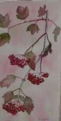 Penny Blair (British Contemporary) Watercolour on Paper 'Red Berries' depicting a branch of leaves