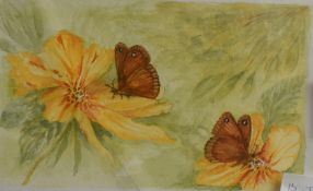 Pat Crompton (British Contemporary) Two watercolours, 'Morning Glory' and 'Flowers and Butterlies'
