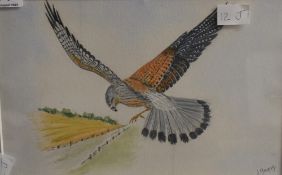 Julia Young (British Contemporary) two watercolours 'You Can't Hide From Me' and 'Look At Me Aren'