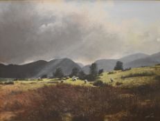 Local interest* Meg Lee (British 20th century) oil on canvas, local pastoral scene with sheep,