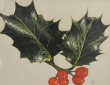 Sarah Joyrun (British Contemporary) Watercolour 'Holly', depicting a spring of holly, initialled and