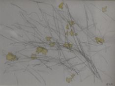 Ellie Taylor (British Contemporary) Pencil and Watercolour, 'Yellow Blossom' an impression of yellow