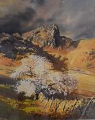 Vivienne Pooley (British b.1944) Watercolour 'Cherry Blossom and Side Pike' signed lower left,