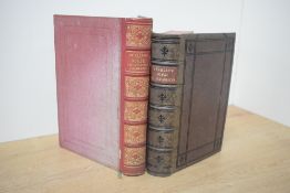 Antiquarian. Travel/History. Stanley, Arthur Penrhyn - Sinai and Palestine in Connection with