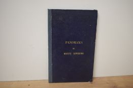 Travel Souvenir. Italian Lakes. Bossoli, E. F. - Panorama Du Monte Generoso. No date. Milano: