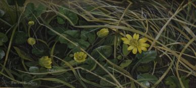 *Local Interest* Marion Bradley (British 1949) 'Celandines' gouache of flowers and grasses, signed