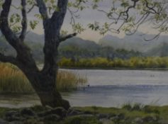 *Local interest* Jill M Aldersley (British 1943 - 2007) watercolour 'Still Evening, Elterwater', a