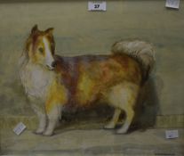 J. Thornbarrow (British 20th century) Watercolour, an attractive study of a small dog, signed