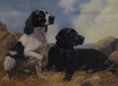 After John Trickett (British b.1952) limited edition of a black labrador and a spaniel in grass