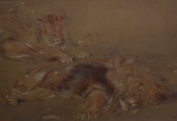 Artist unknown, a well executed Victorian mixed media (watercolour and coloured chalks) study of