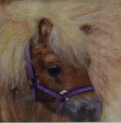 Unknown artist (British Contemporary) accomplished felting of a Shetland pony, within card mount and