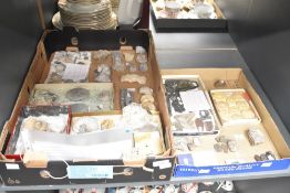 A large assortment of fossil samples, various collected nationally and internationally to include