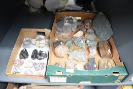 An assortment of mineral and rock samples, collected nationally and internationally, including