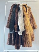 Five vintage fur coats, to include a 1950s Harrods 3/4 length in glossy golden tan fur, fully