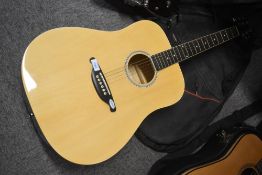 An SX acoustic guitar, model DG25W, with proel gigbag