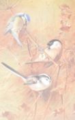 After Archibald Thorburn (British 1860-1935) a pair of reproduction colour prints 'Spring' Wrens