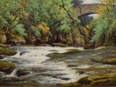 Reginald Aspinwall (British 1851 - 1921) Oil on board, a river scene with bridge and trees, signed