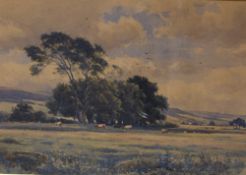 Reginald Aspinwall (British 1851 - 1921) watercolour, a pastoral scene looking across a meadow,