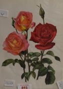 After Anne-Marie Trechslin (Swiss 1927-2007) a group of eleven coloured prints of roses, each