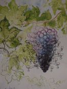 After Gerald Scarfe (British b.1936) a collection of thirty seven coloured wine enthusiast or