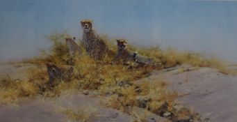 After David Shepherd (British 1931 - 2017) Limited edition 'The Cheetahs of Nambia', depicting a