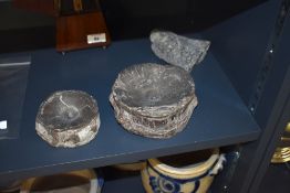 Three fossilised Icthyosaur vertebra specimens