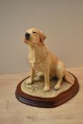 A Border Fine Arts animal study 'Labrador (Bitch)' model number MT01A, designed by Margaret