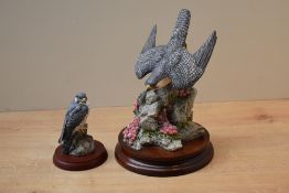 Two Border Fine Arts bird studies comprising 'The Stoop' model number B0331 and 'Symbol of