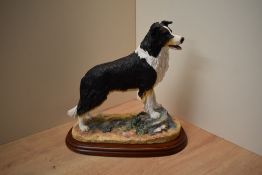 A large Border Fine Arts 'Border Collie Standing' (Tricolour), model number A2649 designed by