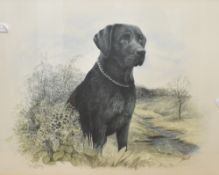 After James Rowley (British contemporary) limited edition of a black labrador in reeds beside a
