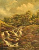 Local interest* J Barnes (British 19th/20th century) oil on canvas, Ashness Bridge and stream,