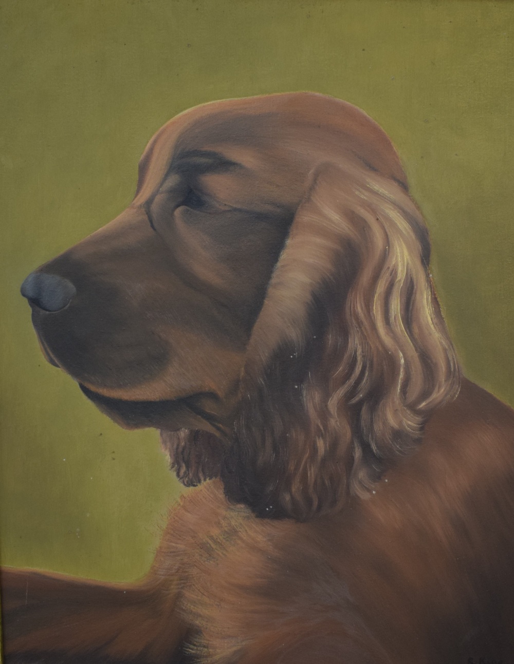 Sheila King (British contemporary) Oil on canvas, 'Des' traditional portrait of a brown spaniel on