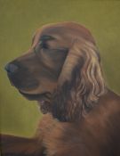 Sheila King (British contemporary) Oil on canvas, 'Des' traditional portrait of a brown spaniel on
