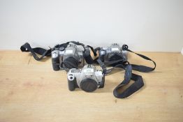Three Canon SLR cameras, a Canon EOS 300D digital camera, a Canon EOS 300 35mm film camera, and a