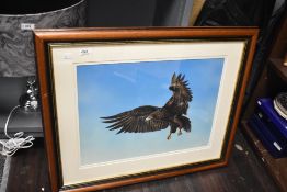 Mike Smith (20th Century) acrylic on board, depicting and eagle in flight, signed lower right within