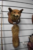A taxidermy fox mask and brush