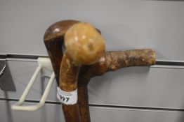 Three short walking canes measuring 85-92cm long made from hazel and blackthorn