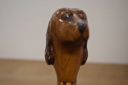 A wooden walking stick with the top carved into a dogs head resembling a spaniel measuring 92cm with
