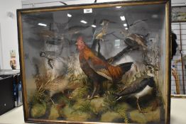 Taxidermy: A Late Victorian or Early Edwardian Mixed Diorama of British Birds, circa 1881-1912, by