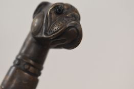 A walking cane measuring 87cm long with a cast brass boxer dogs head handle