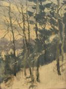 Marion Gray Traver (American 1892 - 1964) oil on board, a miniature winter forest scene, signed to