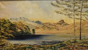 *Local Interest* A Dodgson (British 20th Century) 'Blea Tarn' oil on canvas, a winter scene