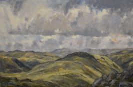 *Local Interest* M Wilson (British Contemporary) oil on canvas 'Glarmara and Allen Crags from Esk